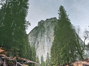 Yosemite National Park