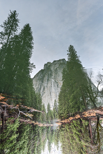Yosemite National Park