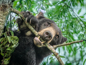 Great Smoky Mountains National Park