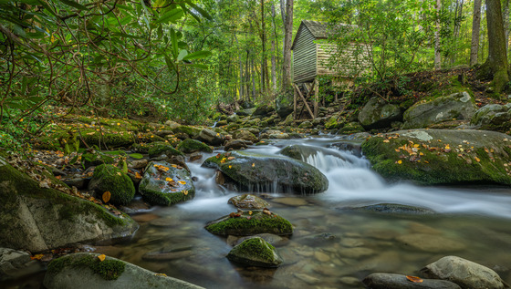 Great Smoky Mountains National Park