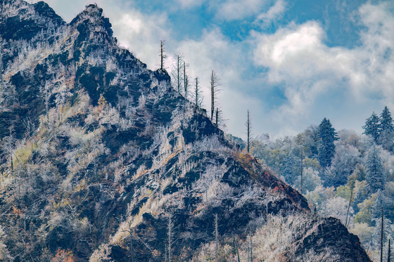 Great Smoky Mountains National Park