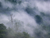 Great Smoky Mountains National Park