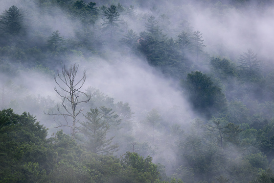 Great Smoky Mountains National Park