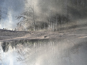 Yosemite National Park