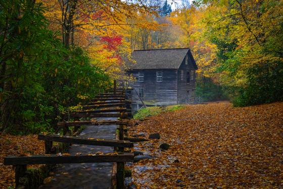 Great Smoky Mountains National Park