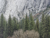 Yosemite National Park