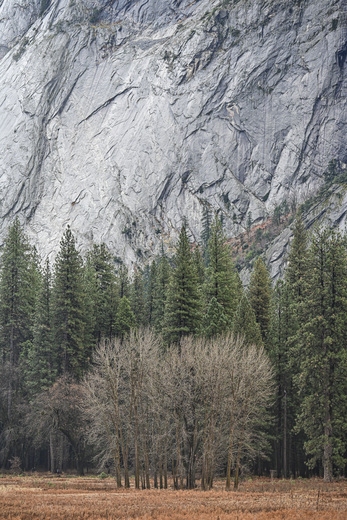 Yosemite National Park