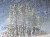 Yosemite National Park