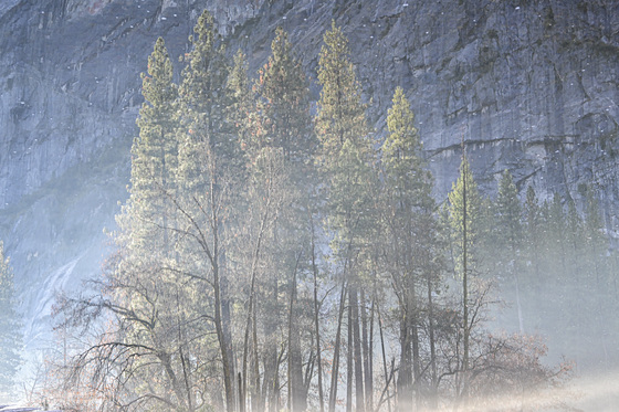 Yosemite National Park