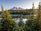 Mt. Rainier National Park