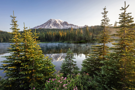 Mt. Rainier National Park