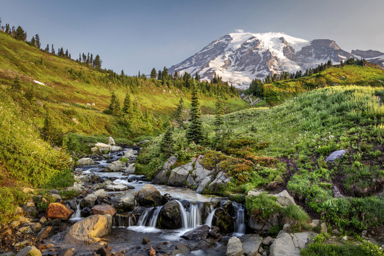 Mt. Rainier National Park