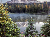 Mt. Rainier National Park