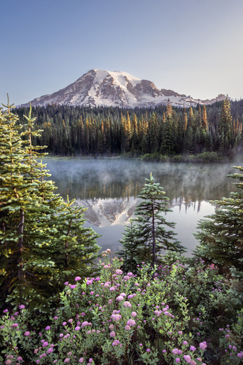 Mt. Rainier National Park