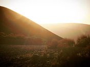 Death Valley National Park