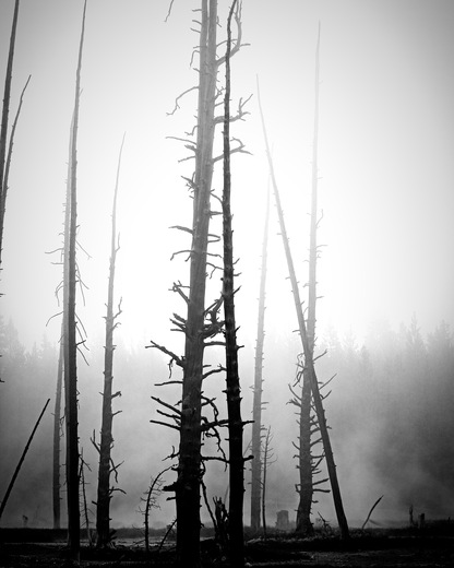 Yellowstone National Park