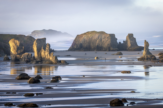 Oregon Islands National Wildlife Refuge