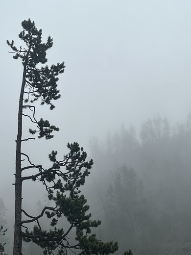 Yellowstone National Park