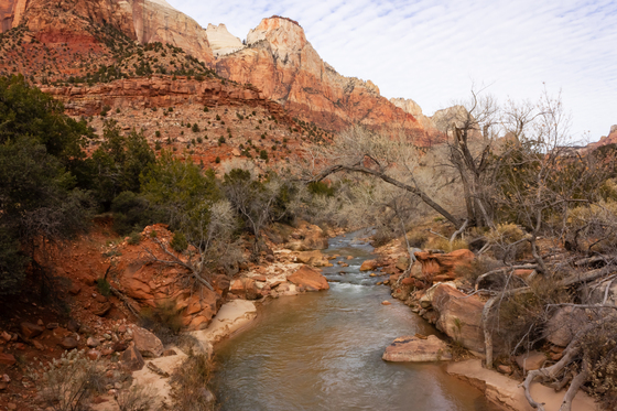 Zion National Park