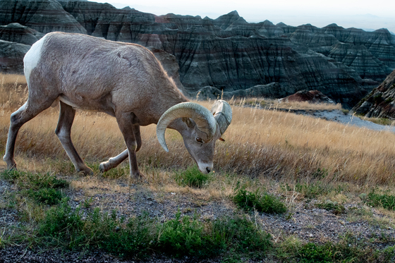 Badlands National Park