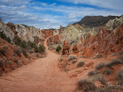 Cottonwoods Canyon Wilderness