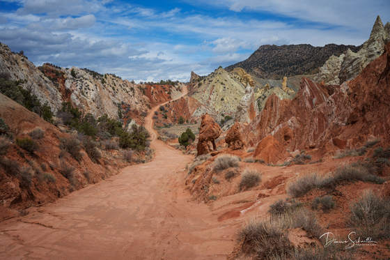 Cottonwoods Canyon Wilderness