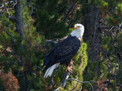 Grand Teton National Park