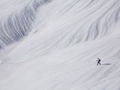 Mt. Rainier National Park