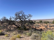 Arches National Park