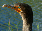 Everglades National Park