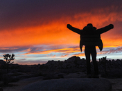 Joshua Tree National Park