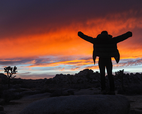 Joshua Tree National Park