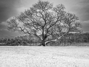 Manassas National Battlefield Park