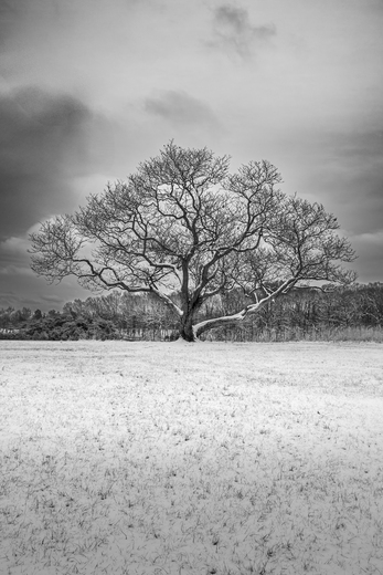 Manassas National Battlefield Park