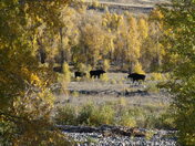 Grand Teton National Park