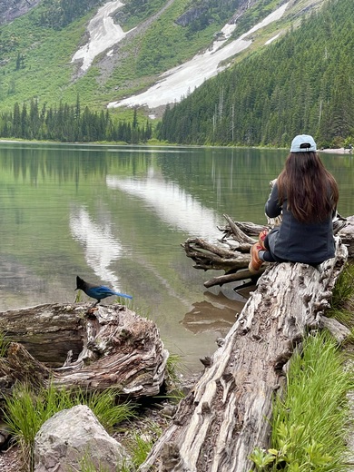 Glacier National Park 