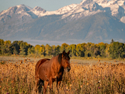 Grand Teton National Park