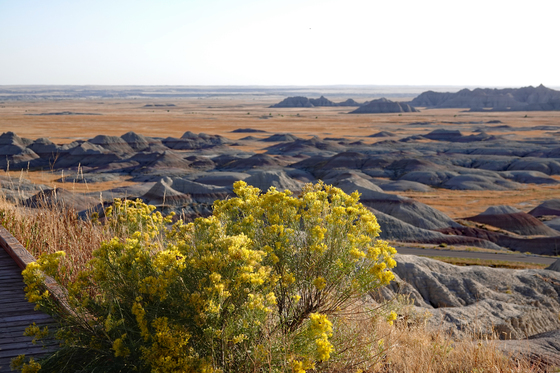 Badlands National Park