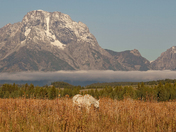 Grand Teton National Park