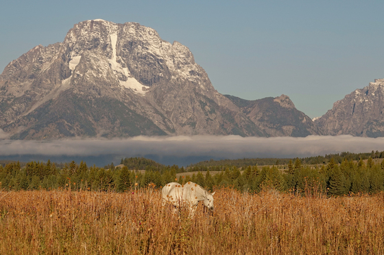Grand Teton National Park