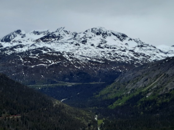 Tongass National Forest