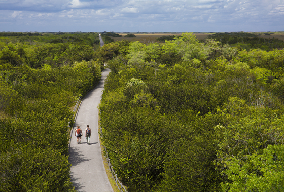 Everglades National Park