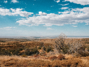 Angeles National Forest
