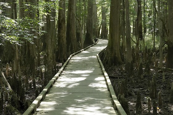 Congaree National Park