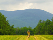 White Mountain National Forest