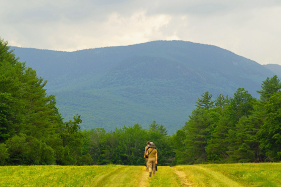White Mountain National Forest