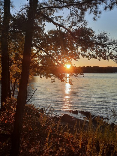 McKinney Campground, Allatoona Lake 