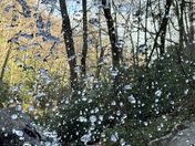 Great Smoky Mountains National Park