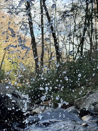 Great Smoky Mountains National Park