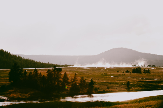 Yellowstone National Park